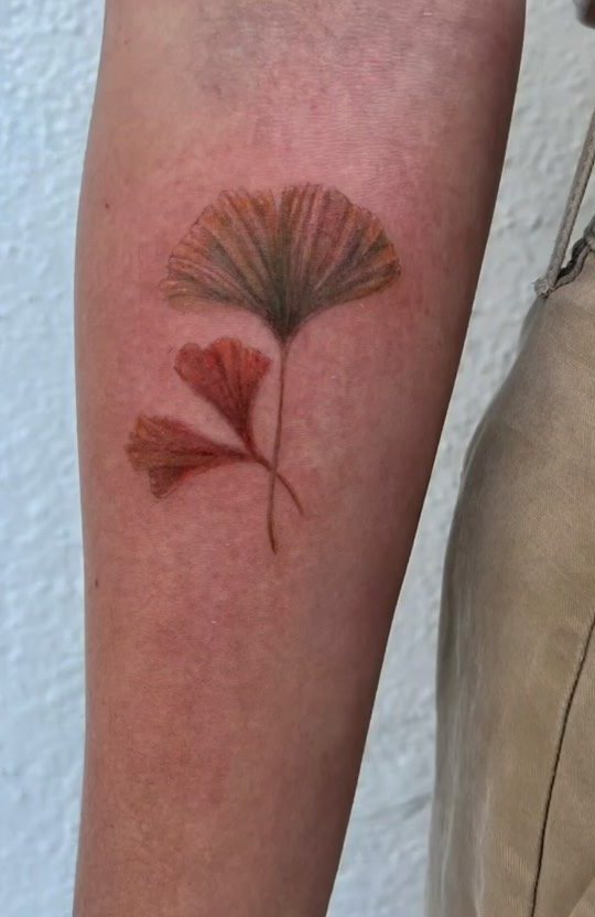 Two gingko leaves in soft autumn color on a forearm